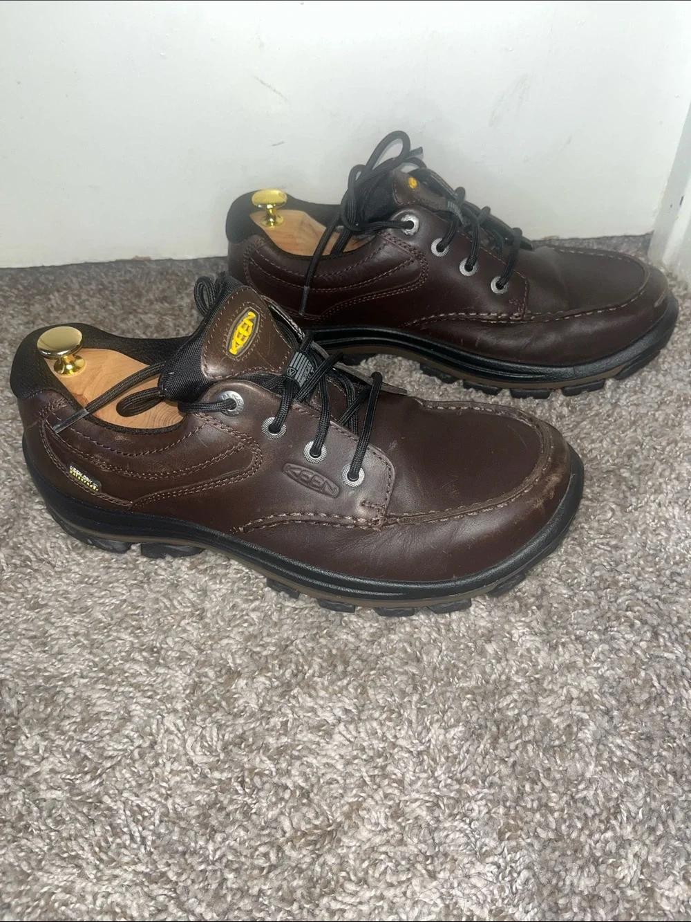 Keen Men’s Dark Brown Casual Anchor Park Waterproof Shoes